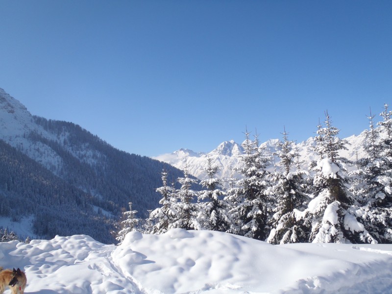 冬季的皚皚白雪風景圖片