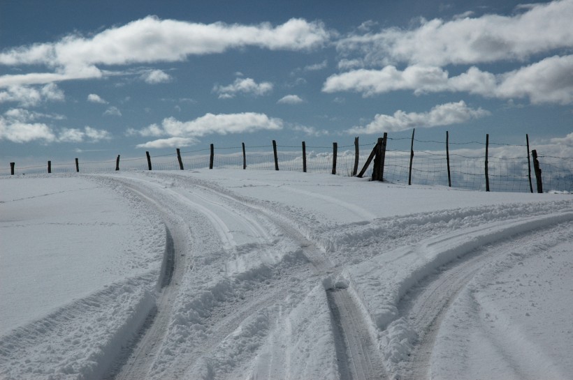 冬季的皚皚白雪風景圖片