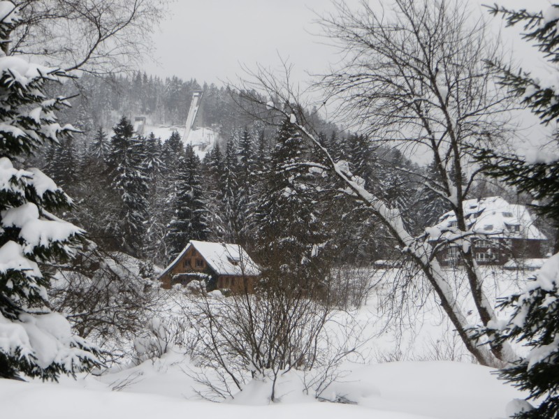 唯美白色雪景圖片