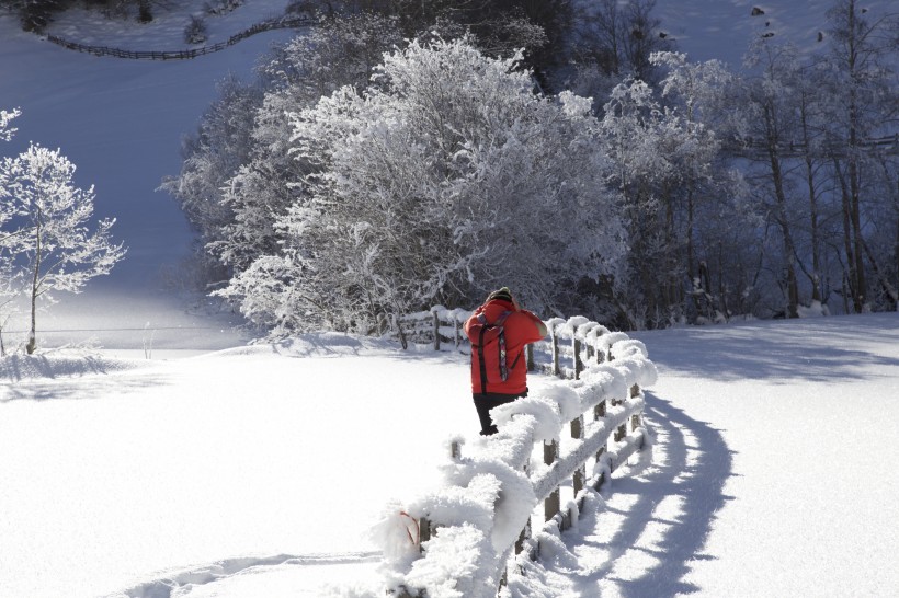 唯美白色雪景圖片