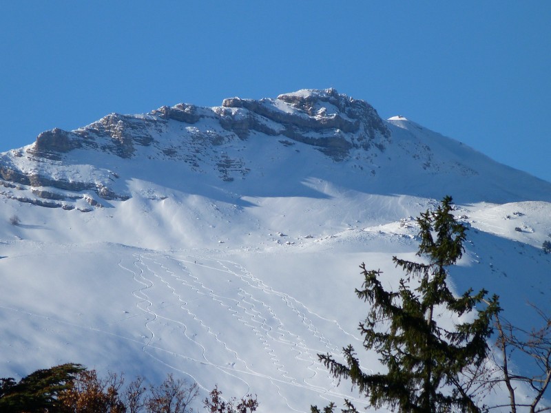 冬季的皚皚白雪風景圖片