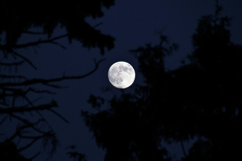 夜空中圓圓的月亮圖片