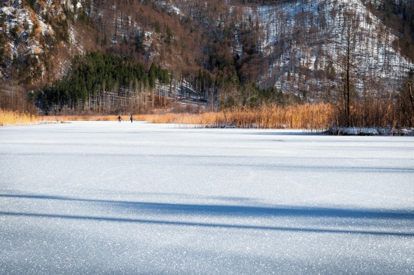 冬季的雪原圖片