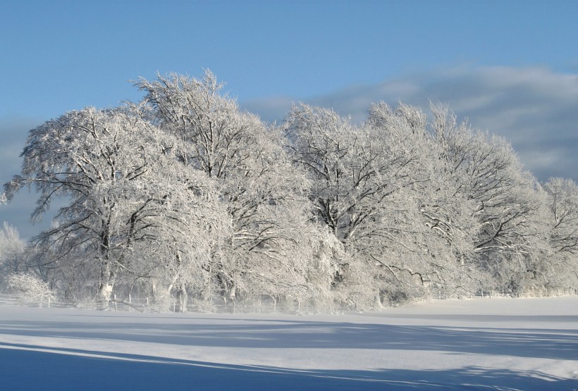 冬天唯美的雪景圖片