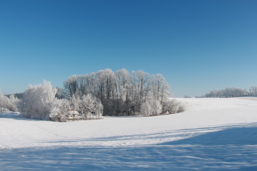 冬天唯美的雪景圖片