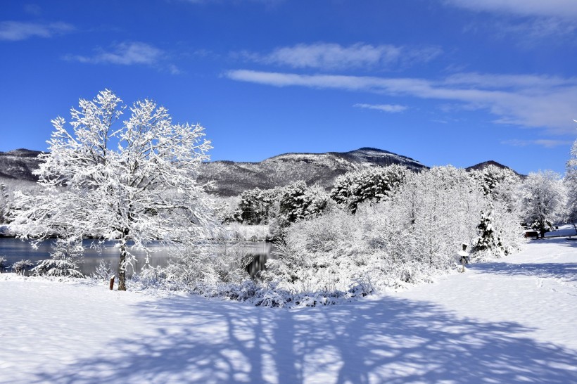 冬天唯美的雪景圖片