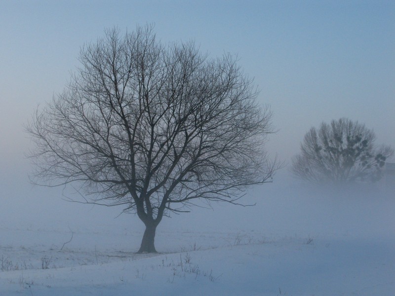 冬天唯美的雪景圖片