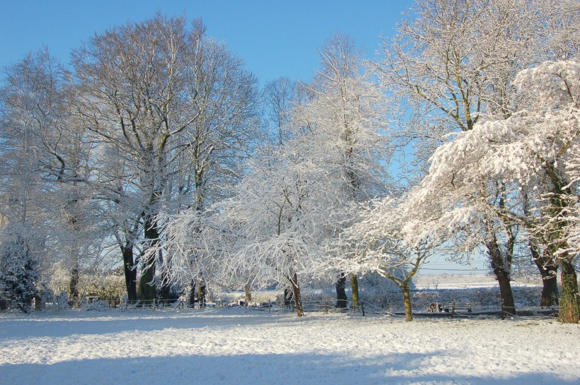 冬天唯美的雪景圖片