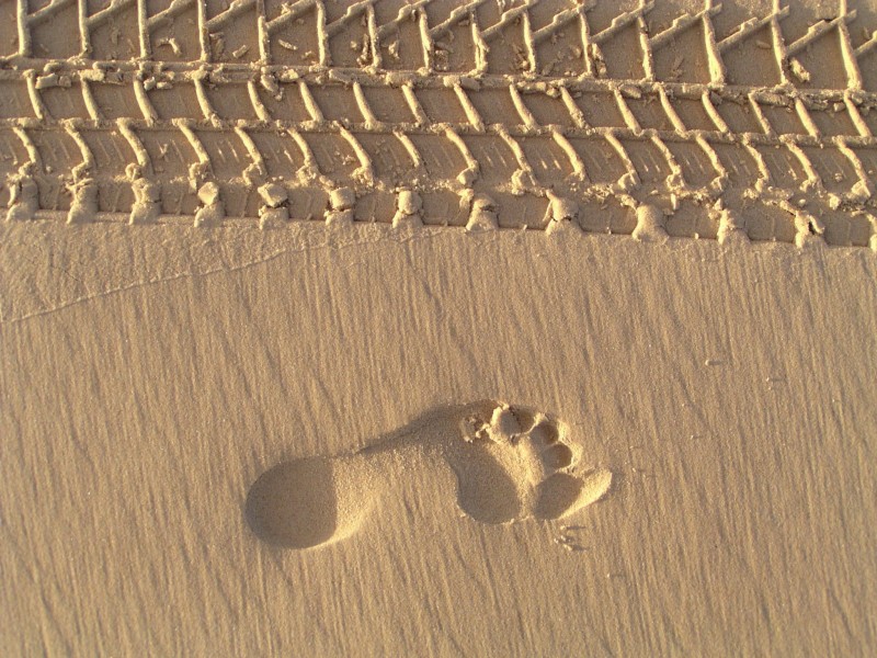沙灘上的腳印圖片