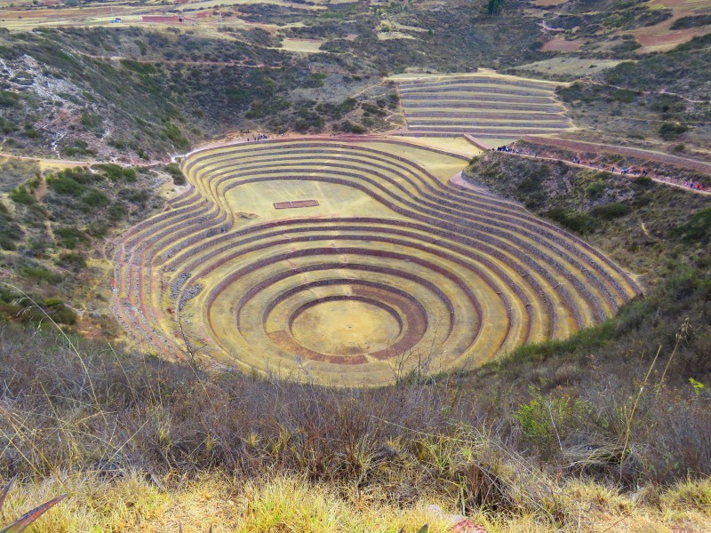 一望無際的梯田風景圖片