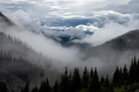 煙霧缭繞的山林圖片