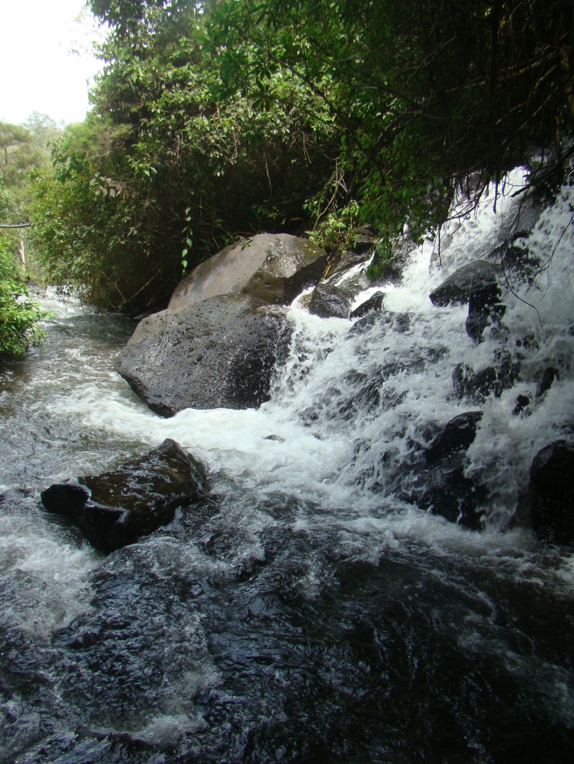 森林小溪山間流水圖片