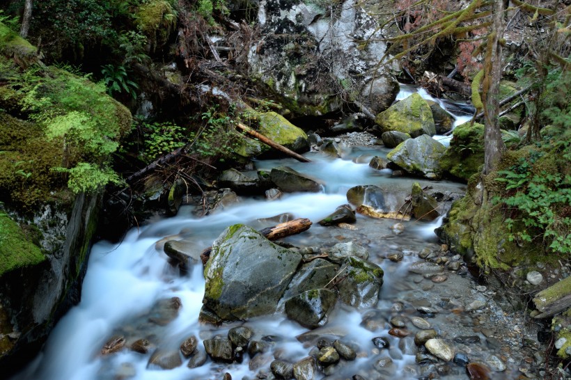 森林小溪山間流水圖片