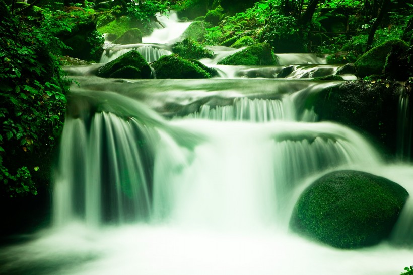 森林小溪山間流水圖片