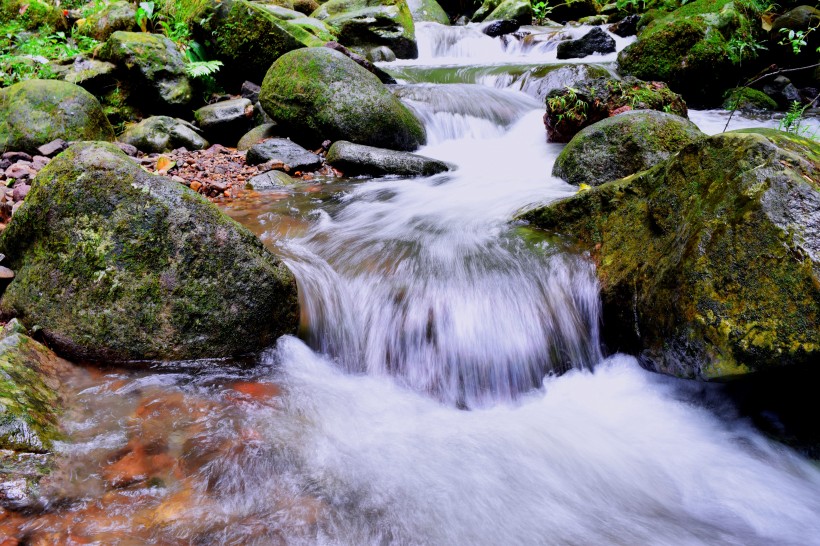 森林小溪山間流水圖片