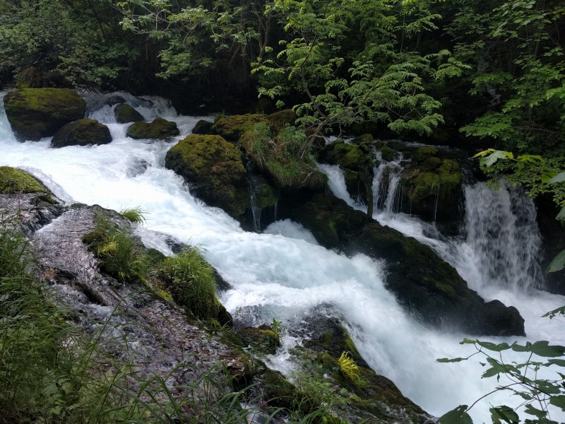 森林小溪山間流水圖片