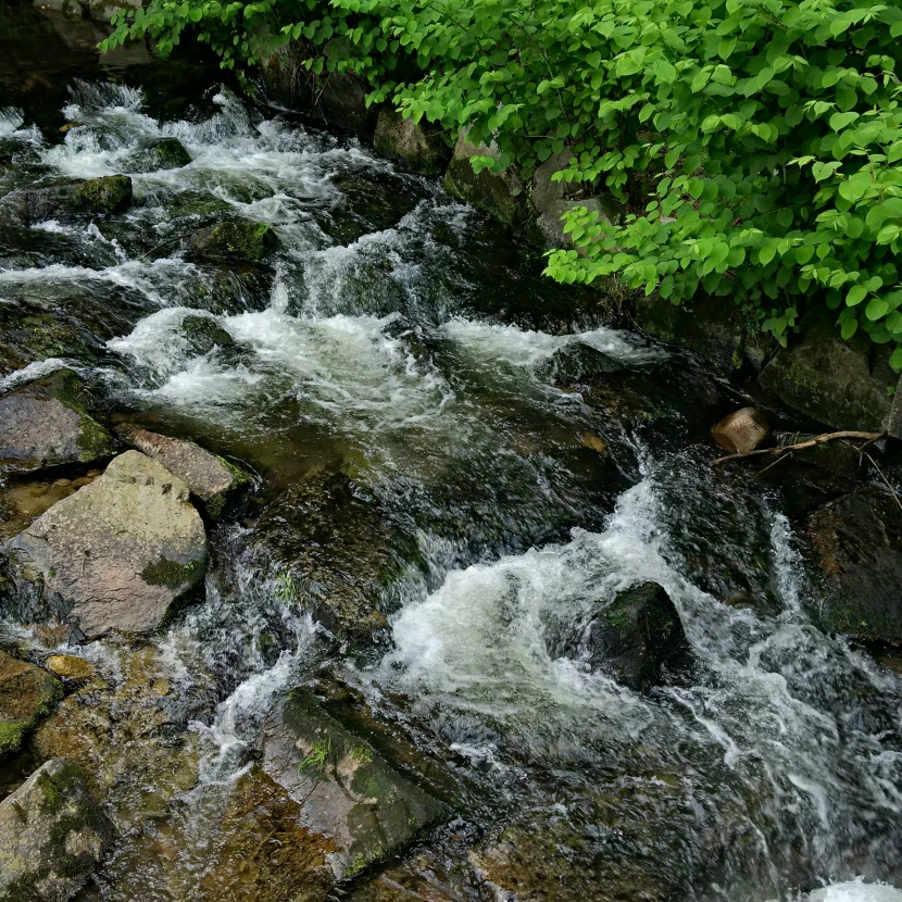 森林小溪山間流水圖片