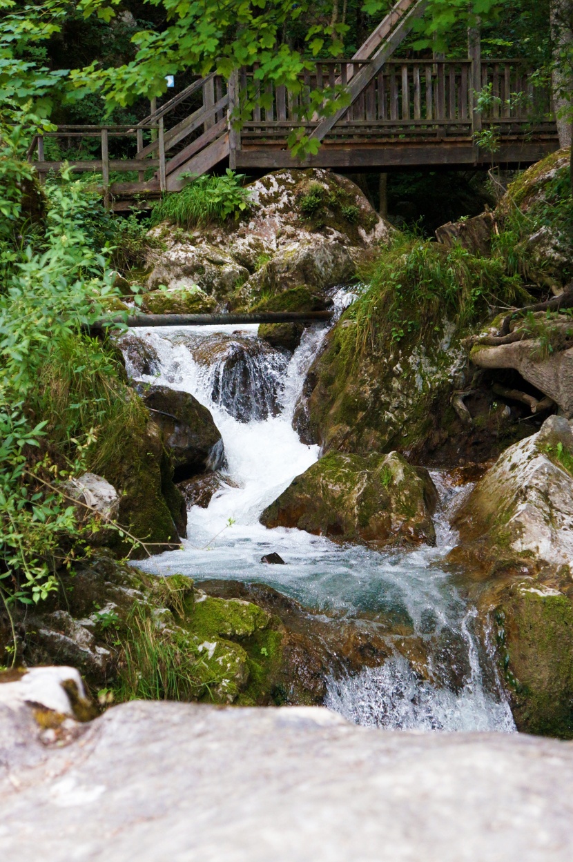 森林小溪山間流水圖片