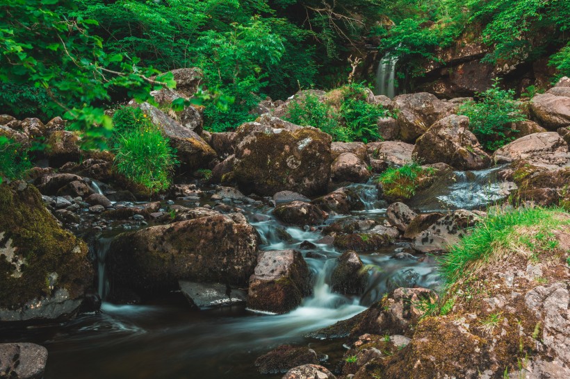 森林小溪山間流水圖片