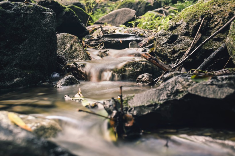 森林小溪山間流水圖片