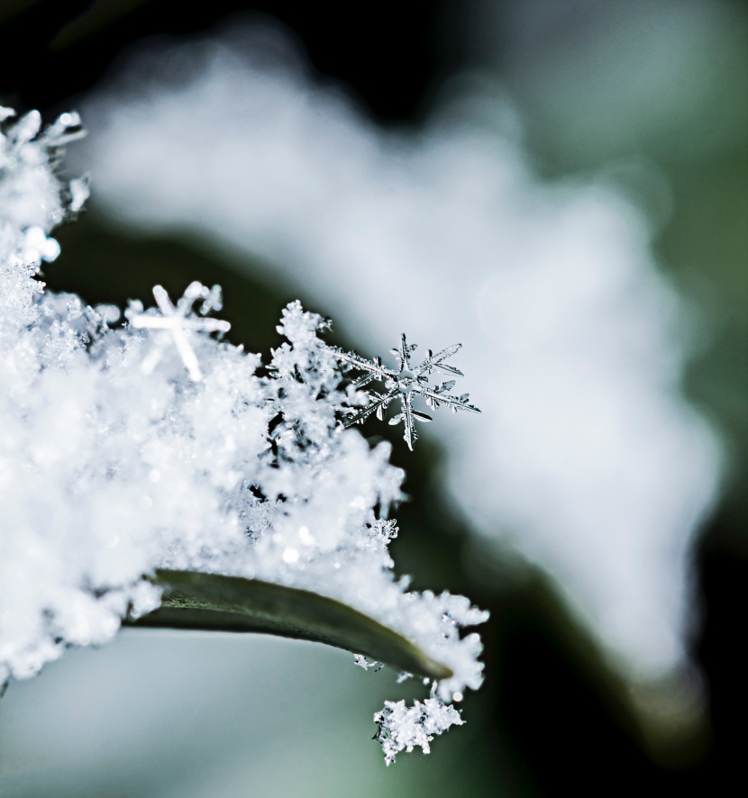 晶瑩剔透的雪花圖片