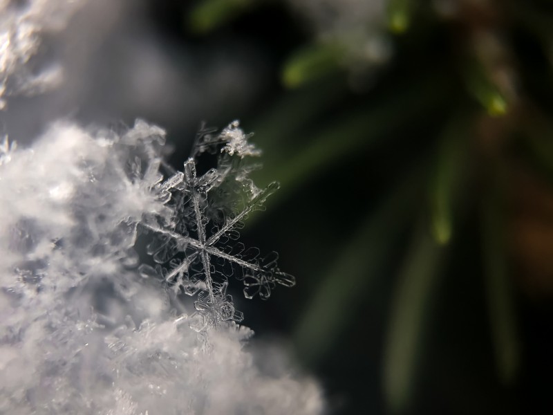 晶瑩剔透的雪花圖片