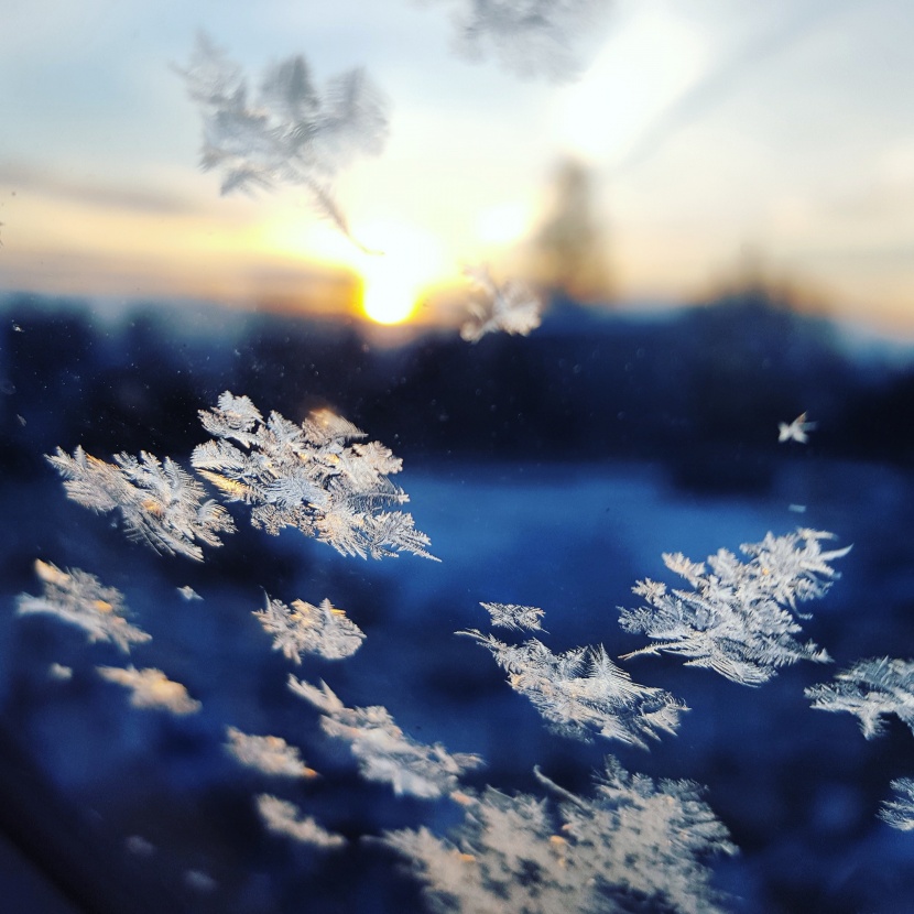 晶瑩剔透的雪花圖片