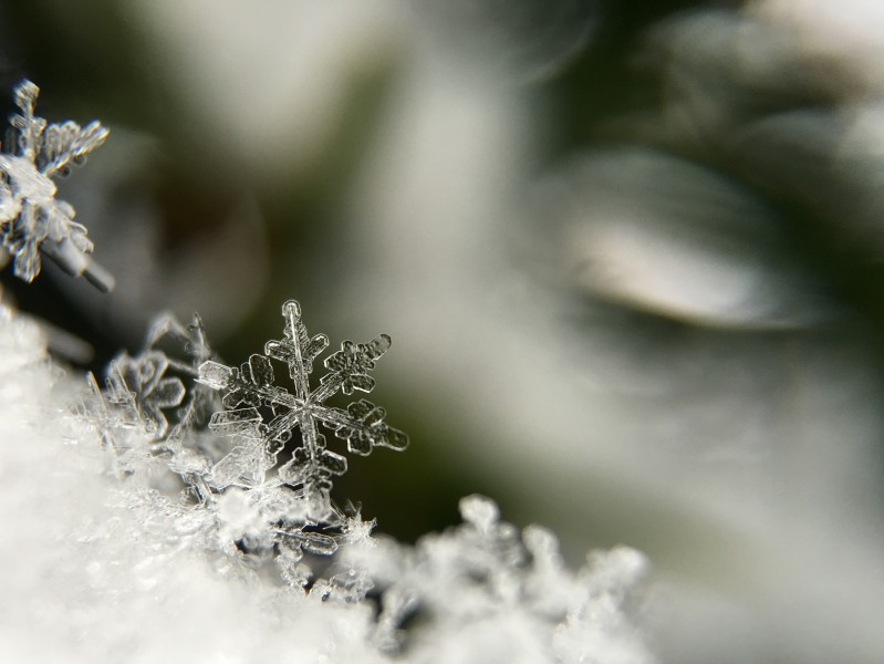 晶瑩剔透的雪花圖片