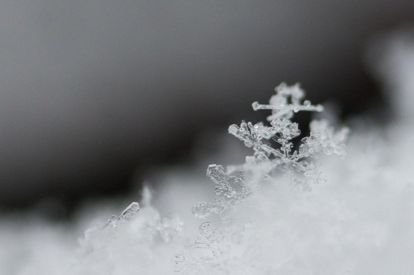 晶瑩剔透的雪花圖片