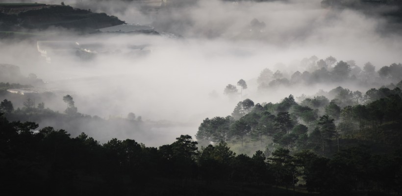 煙霧缭繞的山林圖片