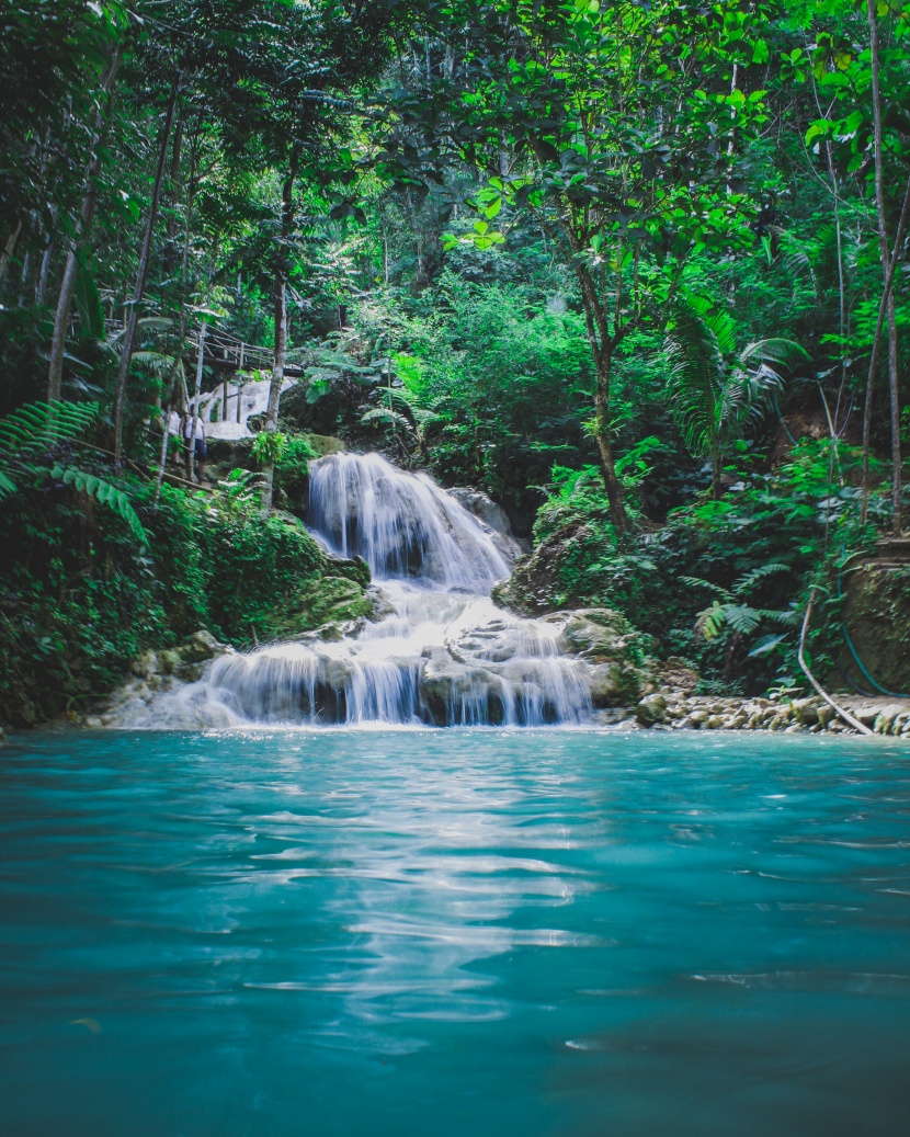 涓涓流淌的溪水圖片