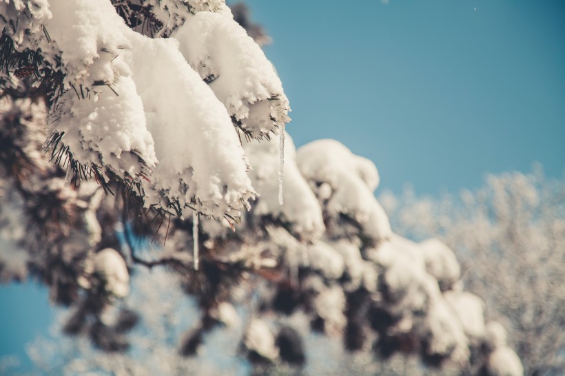 冬季冰雪圖片