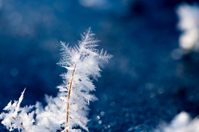 冬季冰雪圖片