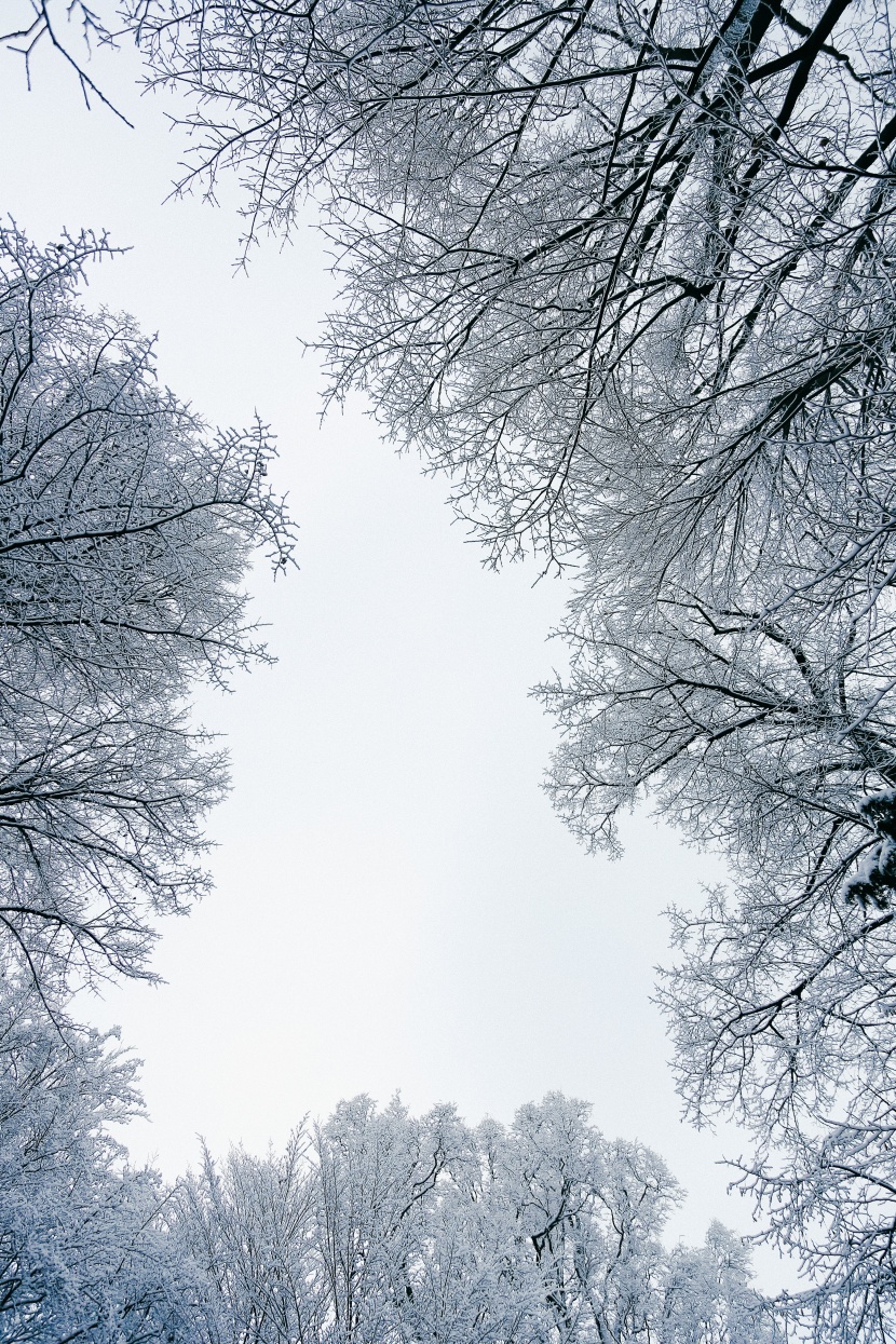 冬季冰雪圖片