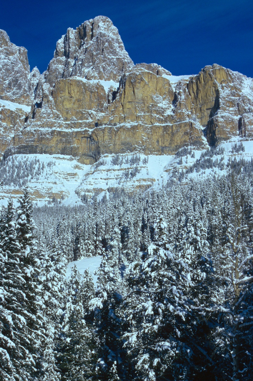 峻峭的雪山圖片