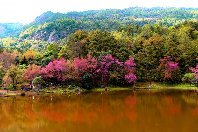 清邁自然風景圖片