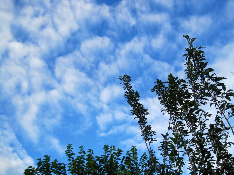 天空中的白雲圖片