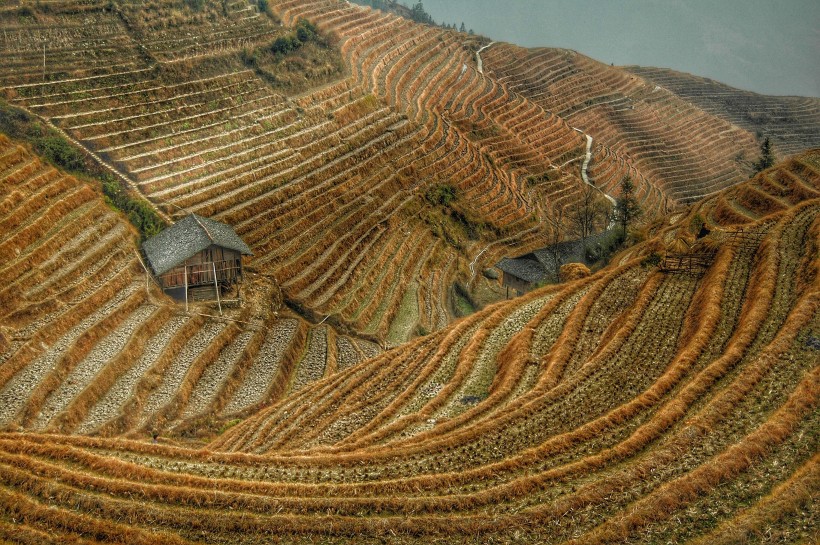 美麗的梯田風景圖片