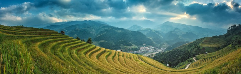 美麗的梯田風景圖片