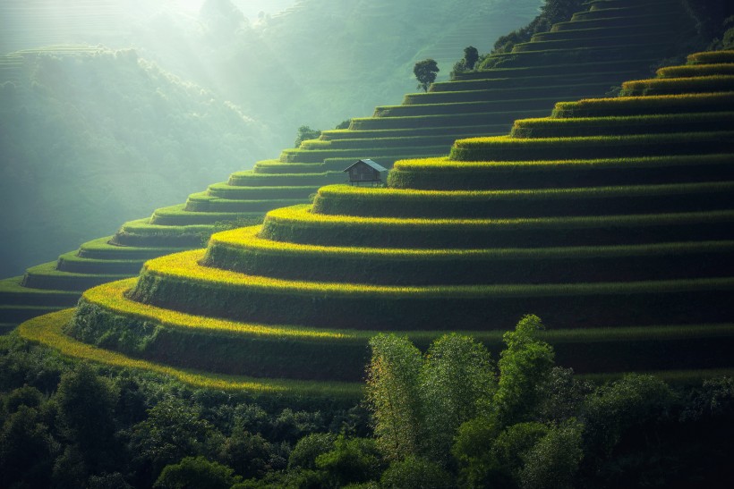 美麗的梯田風景圖片