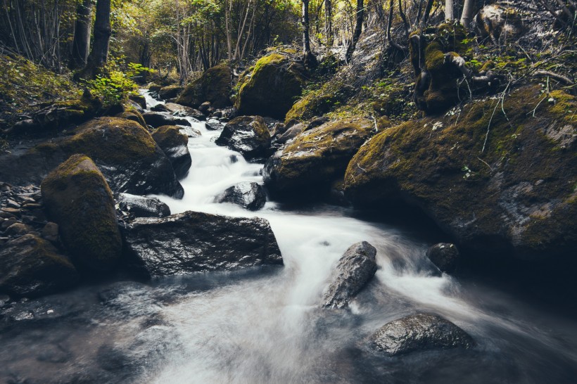 森林小溪山間流水圖片