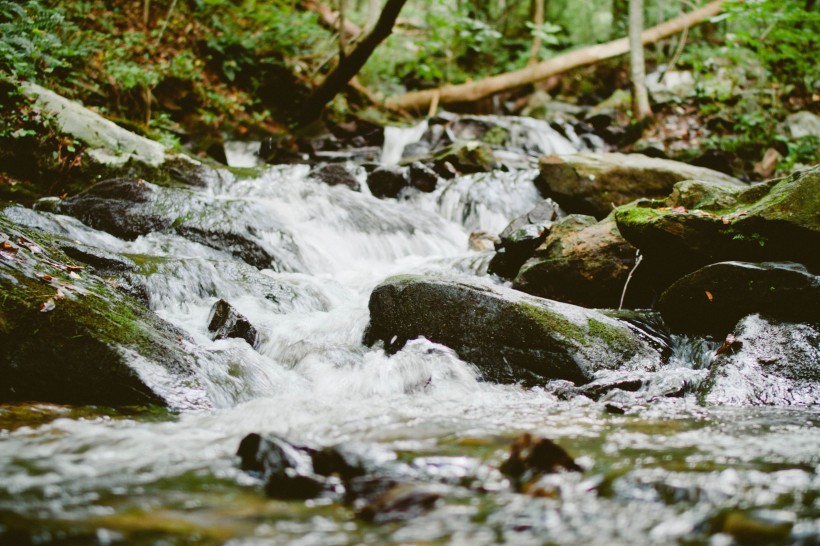 森林小溪山間流水圖片