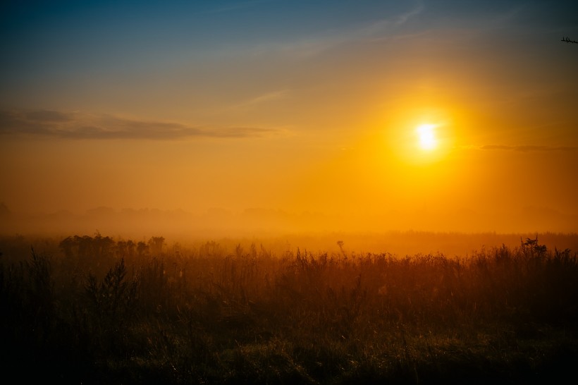 金黃的夕陽圖片