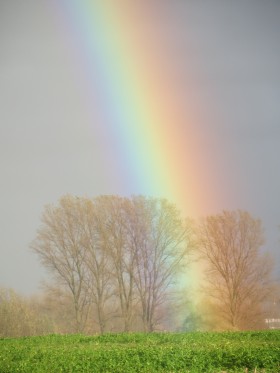 絢麗的彩虹圖片