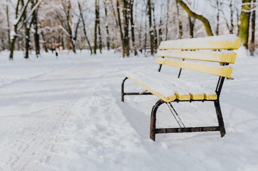 雪地裡的公園圖片