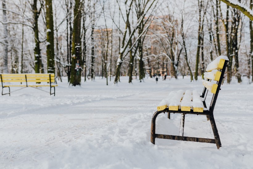 雪地裡的公園圖片