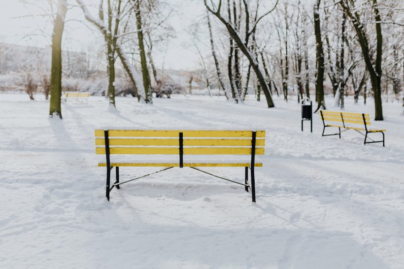 雪地裡的公園圖片