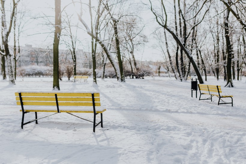 雪地裡的公園圖片