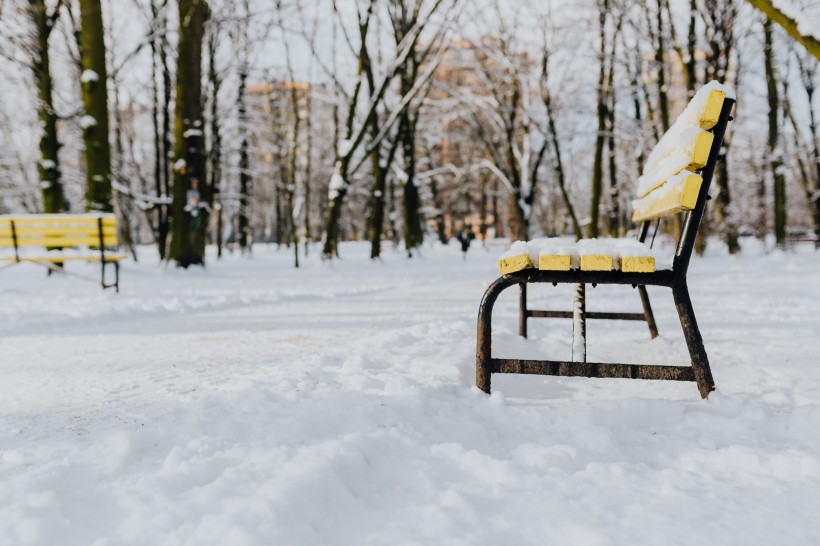 雪地裡的公園圖片