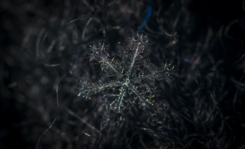 顯微鏡拍攝的雪花圖片